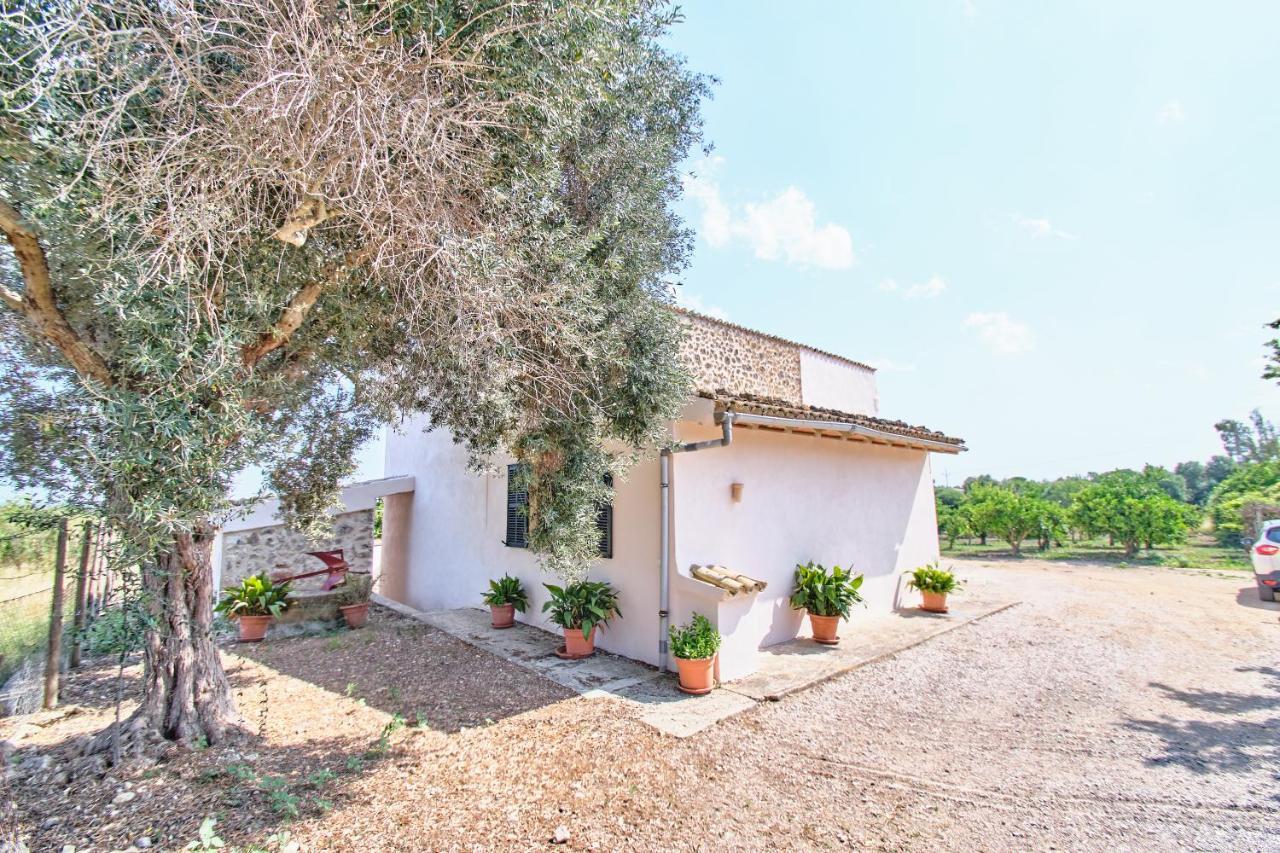 Villa Son Bennassar インカ エクステリア 写真