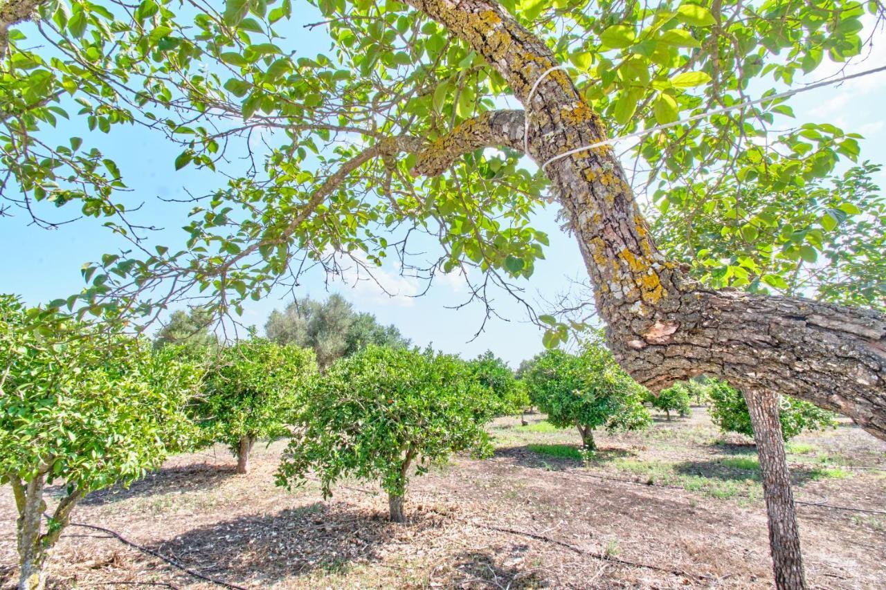 Villa Son Bennassar インカ エクステリア 写真